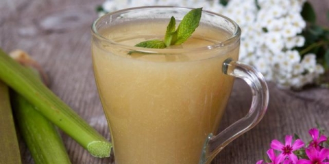 Kisel od rabarbare: 6 recepata